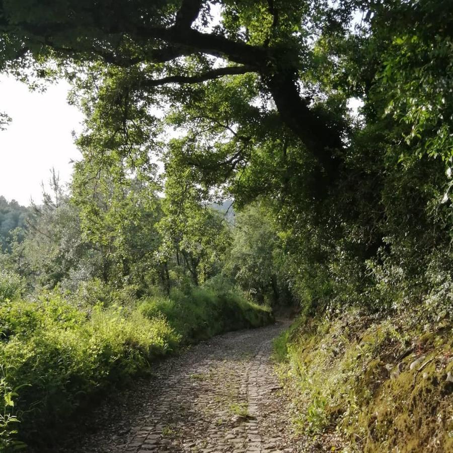 Pateo Das Rizas Eiras ภายนอก รูปภาพ